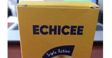 ექიცე – ECHICEE – ЭХИЦЕ_600358c4a20d7.jpeg